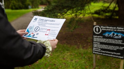 Talk a winter walk at Rowallane Garden